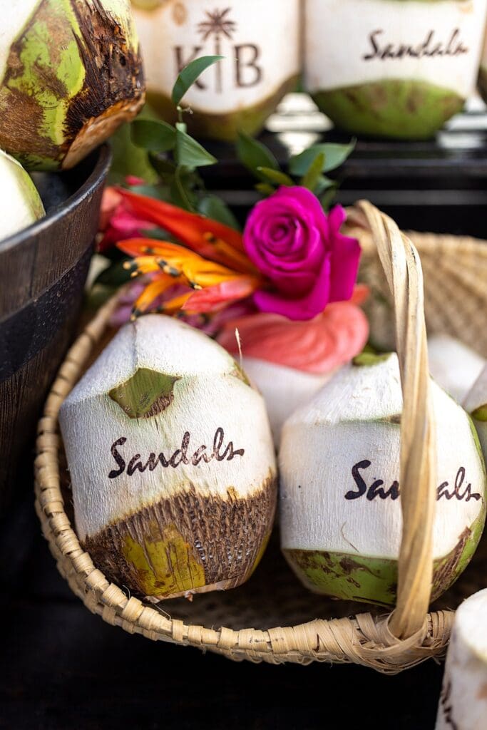 destination wedding resorts planner; travel and event planning, sandals, dreams, and secrets destination wedding and travel planner